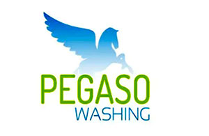 PEGASO WASHING  AUTO LAVAGGIO A DOMICILIO